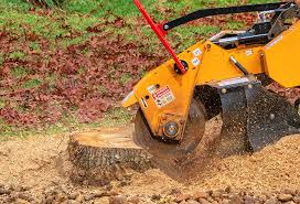 How Our Tree Care Process Works  in  Pearland, TX